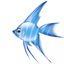 小学语文一年级汉语拼音基础部分练习题库合集附答案