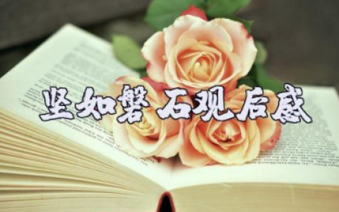 电影《坚如磐石》观后感范文9篇