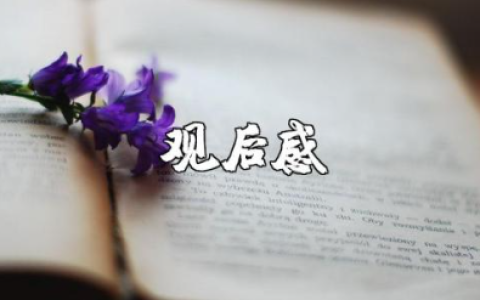 观看《典籍里的中国道德经》观后感范文