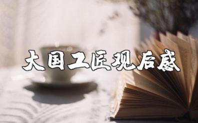 大国工匠观后感 大国工匠心得体会500字