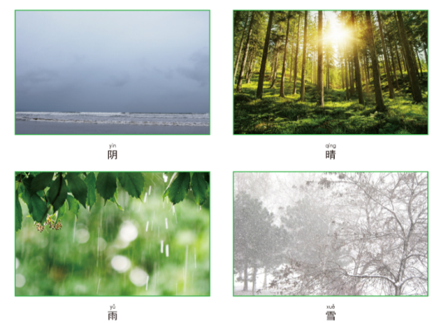 小学二年级上册科学知识要点归纳总结汇总大全