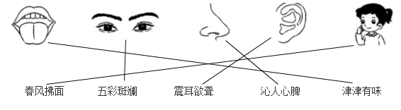小学二年级上册科学知识要点归纳总结汇总大全