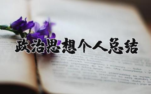 政治思想个人总结范文 政治思想方面个人总结感悟合集