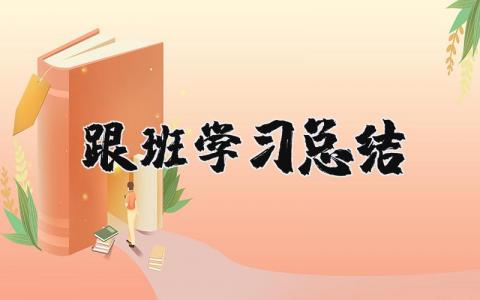 跟班学习总结个人范文  跟班学习心得工作总结