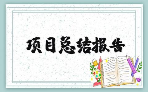 项目总结报告范文精选  项目总结报告简单通用