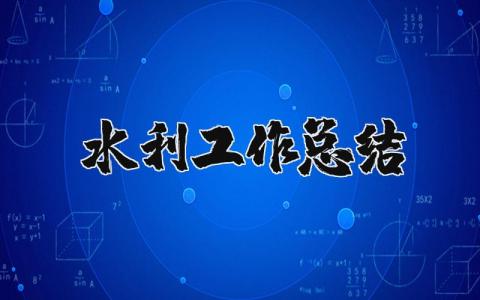 水利工作总结及计划2025最新完整版