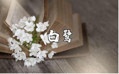 《白鹭》一等奖教学设计合集 《白鹭》优秀教案汇总