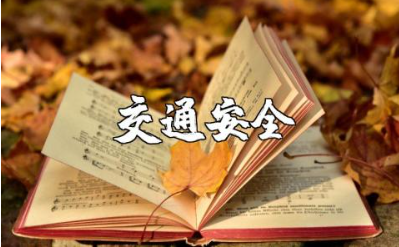 开展交通安全主题宣传活动的总结感悟范文合集