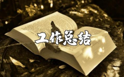 小学老师工作总结个人范文 2025年度教师考核个人总结