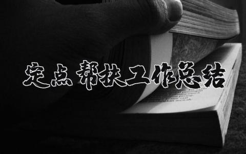 定点帮扶工作总结报告 帮扶工作总结及帮扶成效