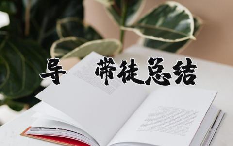 导师带徒总结范文 导师带徒收获感悟模板
