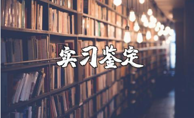 实习鉴定表个人总结范文 个人实习鉴定报告模板汇总