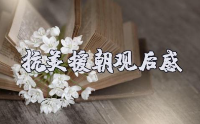 抗美援朝观后感心得体会优秀范文400字