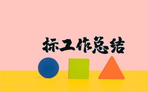 投标工作总结精选范文 投标工作进展情况汇报书
