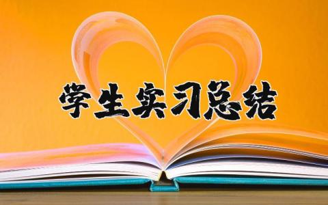 学生实习总结 学生岗位实践总结报告
