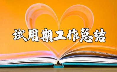 试用期工作总结及转正申请 试用期转正范文300字
