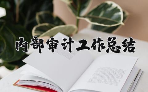 内部审计工作总结和工作计划范文