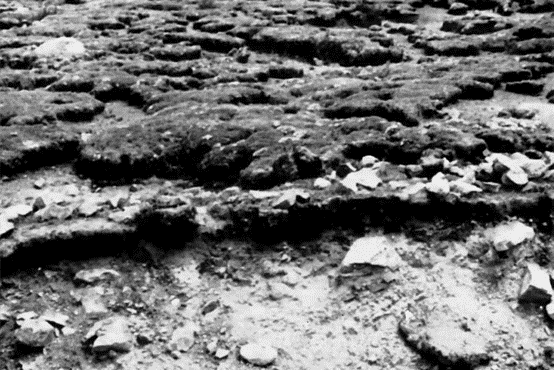 2025年新课标卷高考地理真题及答案详解最新(试题+答案)