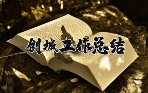 创城工作总结及下一步计划范文