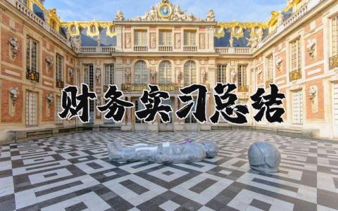 财务实习总结精选范文 财务人员实习报告模板