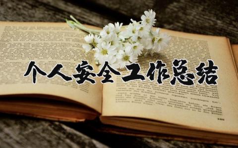 个人安全工作总结简短报告 个人安全工作总结范文通用