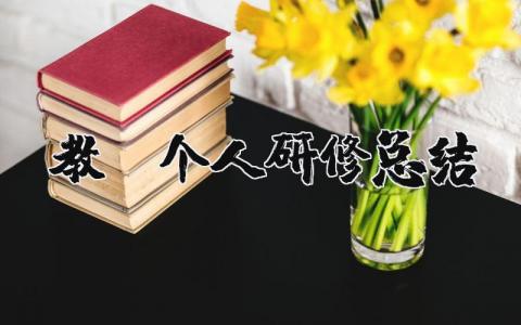 教师个人研修总结报告 教师研修成长感悟反思