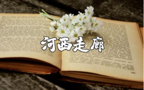 《河西走廊》观后感范文 观看《河西走廊》心得体会模板