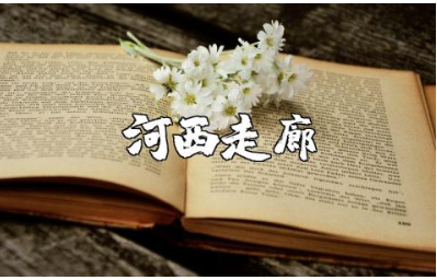 《河西走廊》观后感范文 观看《河西走廊》心得体会模板