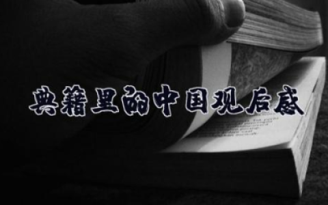 典籍里的中国观后感 观典籍里的中国有感