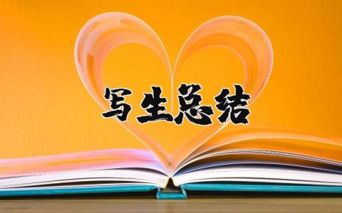 写生总结与体会 关于写生的体验感悟