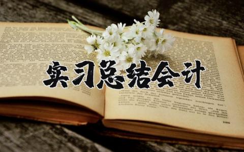 会计实习报告范文 会计实践报告模板及范文