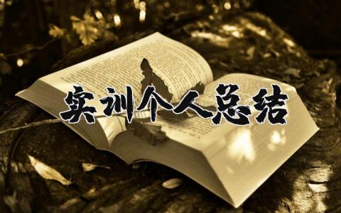 实训个人总结 实训的个人收获和感悟