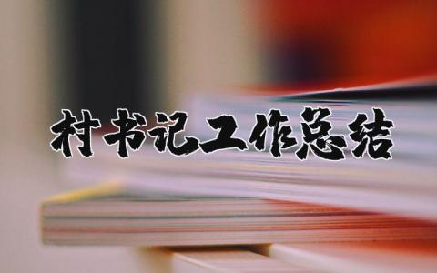 村书记工作总结范文 村书记工作进展汇报模板