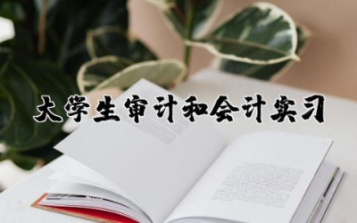 大学生审计和会计实习心得体会范本合集