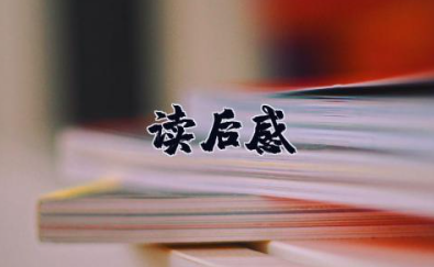 《律师应是怎样的人》读后感 关于律师的心得体会