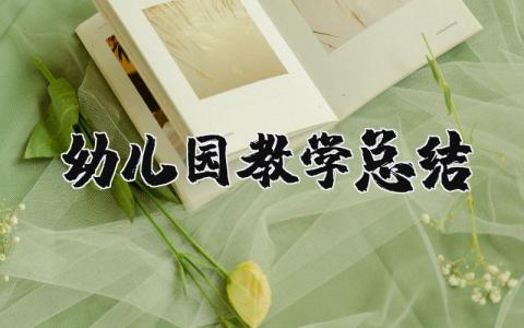 幼儿园教学总结与反思 幼儿园教学工作总结精选