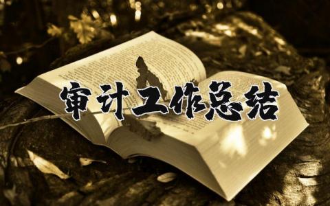 审计工作总结通用范文 审计工作总结报告模板合集