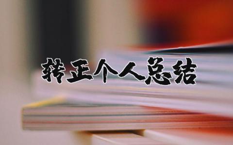 转正个人总结 试用期转正小结