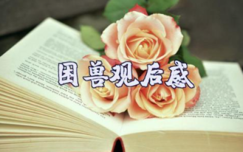 电影《困兽》观后感范文