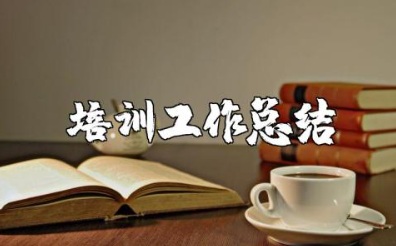 教师培训工作总结报告 教师培训心得万能总结