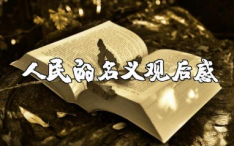 《人民的名义》观后感600字范文 《人民的名义》心得体会合集
