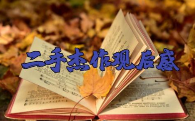 电影《二手杰作》观后感范文