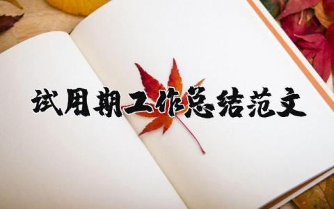 试用期工作总结范文简短 试用期转正的个人总结