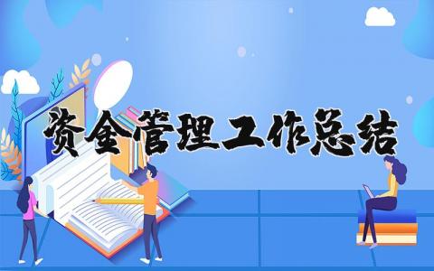资金管理工作总结与计划范文 资金管理情况汇报