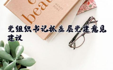 党组织书记抓基层党建意见建议 基层党建工作的建议和意见