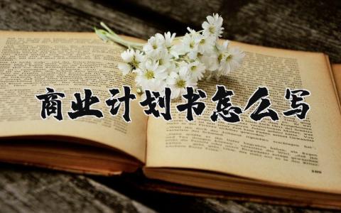 商业计划书范文汇总 商业方案策划书模板合集