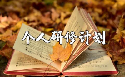 教师研修个人计划范文 个人研修计划模板内容