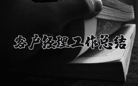 客户经理工作总结合集 客户经理工作进展汇报书大全