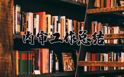 内审工作总结范文汇总 内部审计工作进展汇报书合集
