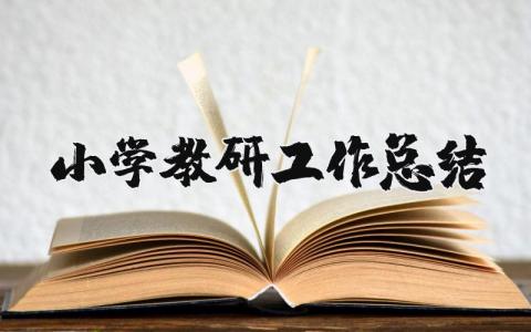 小学教研工作总结范文 小学教研工作进展汇报